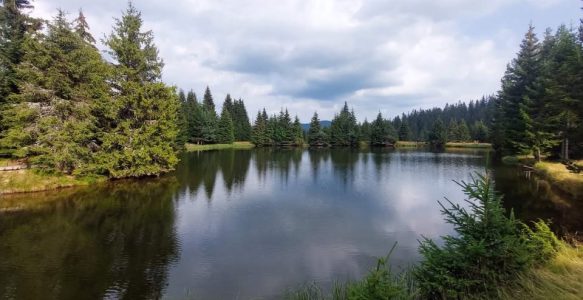 1-9 Август  2026 – Експедиция „Пресичане на РОДОПИТЕ“ … палатки и хотели